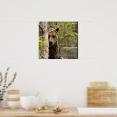 GRIZZLY BEER FOTOGRAPHY POSTER (Keuken)