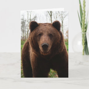 GRIZZLY BEER HUG FOTOGRAPHY BIRTHDAY KAART