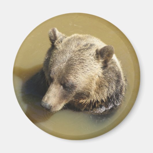 Grizzly Beer Magneet (Voorkant)