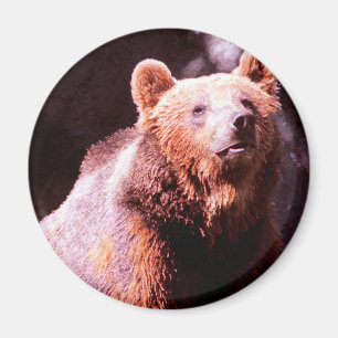 grizzly beer magneet