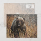 Grizzly Beer met Blueberry Lips Briefkaart (Voorkant / Achterkant)