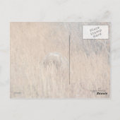 Grizzly Beer met Blueberry Lips Briefkaart (Achterkant)