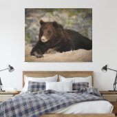 Grizzly Beer met snoepsnoer Canvas Afdruk (Insitu (Slaapkamer))