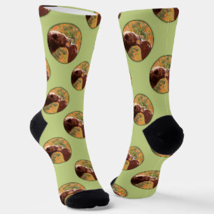 Grizzly Beer Moeder en Cub Schilderen Wildlife Art Sokken