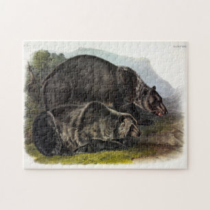 Grizzly Beer (Noord-Amerikaans bruin Beer) - Audub Legpuzzel