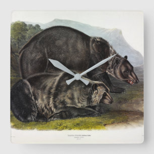 Grizzly Beer (Noord-Amerikaans bruin Beer) - Audub Vierkante Klok