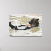 GRIZZLY BEER ONTSPANNENDE VERPAKTE CANVAS PRINT (Voorkant)