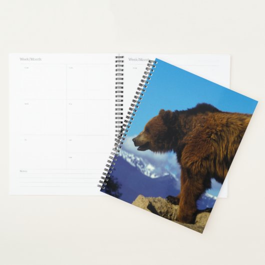 Grizzly Beer Planner (Display)