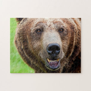 Grizzly Beer Portret, Jigzaag Puzzle Legpuzzel