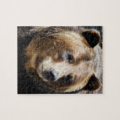 Grizzly Beer Portret Legpuzzel (Horizontaal)
