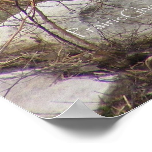 Grizzly Beer Poster (Hoek)