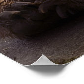 Grizzly Beer Poster (Hoek)