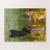 Grizzly beer puzzel (Horizontaal)