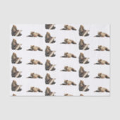 grizzly beer Weefpapier Tissuepapier (Voorkant)