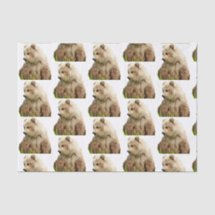 grizzly beer Weefpapier Tissuepapier