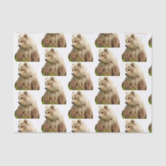 grizzly beer Weefpapier Tissuepapier (Voorkant)