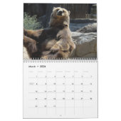 Grizzly Beren 2025 Kalender (Mar 2026)