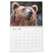 Grizzly Beren 2025 Kalender (Jan 2026)