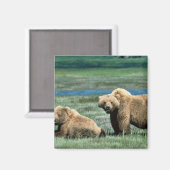 Grizzly Beren Magneet (Voorkant / Achterkant)