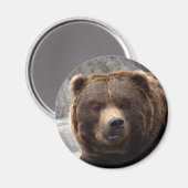 Grizzly Beren magneet (Voorkant / Achterkant)