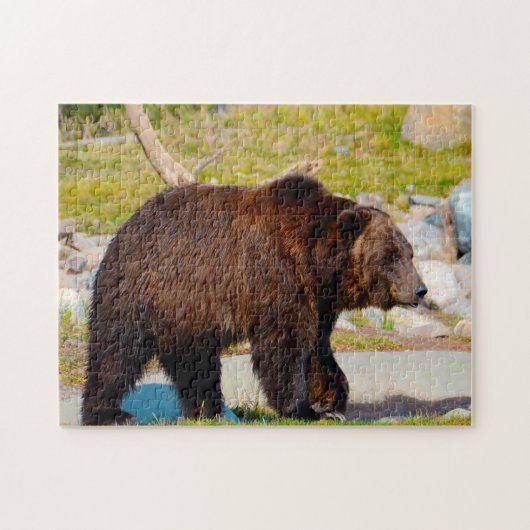 Grizzly Beren Montana. Legpuzzel (Horizontaal)