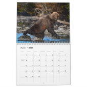Grizzly Beren - Wandkalender 2019 Kalender (Mar 2026)