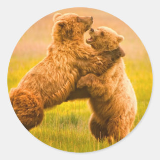 Grizzly Beren worstelen Ronde Sticker