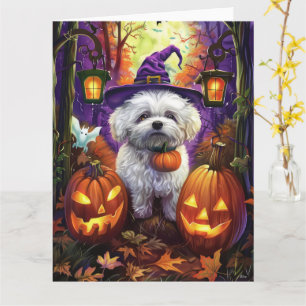 Grizzly Bichon Frise Halloween Heks en Pompoen Kaart