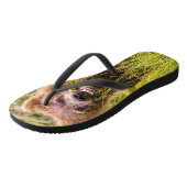Grizzly cub grazing, Alaska Teenslippers (Schuin)