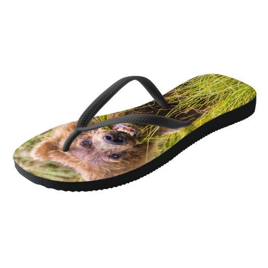 Grizzly cub grazing, Alaska Teenslippers (Schuin)