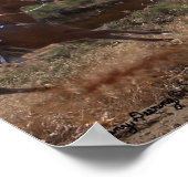 Grizzly Fun Poster (Hoek)