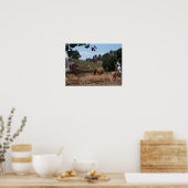 Grizzly Fun Poster (Keuken)