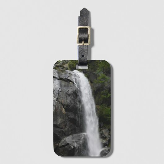 Grizzly Herfsten, King's Canyon National Park, CA Bagagelabel (Voorkant (verticaal))