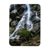 Grizzly Herfsten, King's Canyon National Park, CA Magneet (Verticaal)