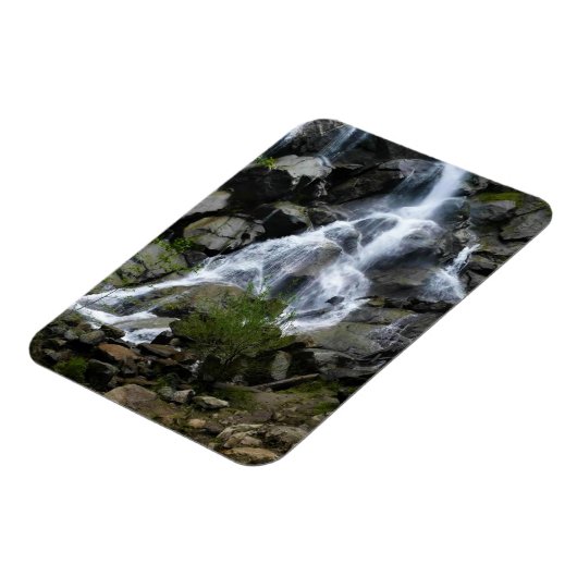 Grizzly Herfsten, King's Canyon National Park, CA Magneet (Linkerzijde)