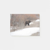 Grizzly Post-it® Notes (Voorkant)