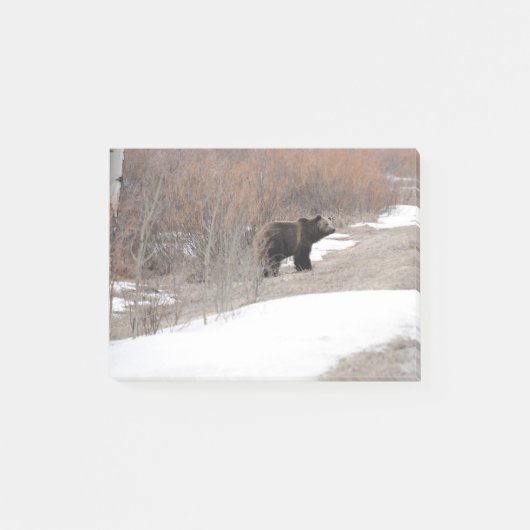 Grizzly Post-it® Notes (Voorkant)