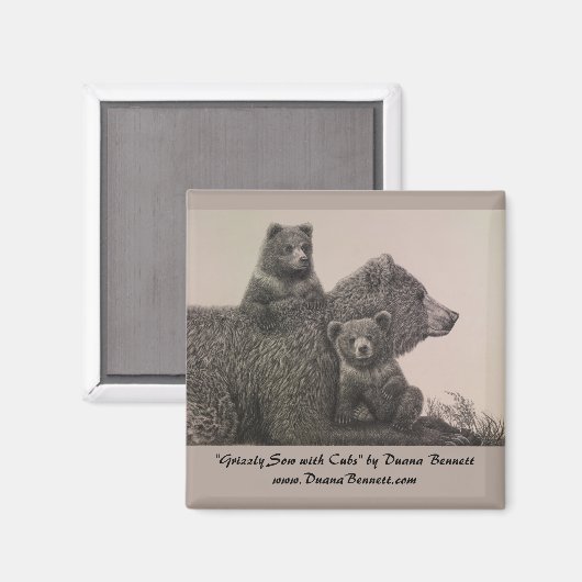 "Grizzly Sow with Cubs" dessin sur un aimant (Recto/Verso)
