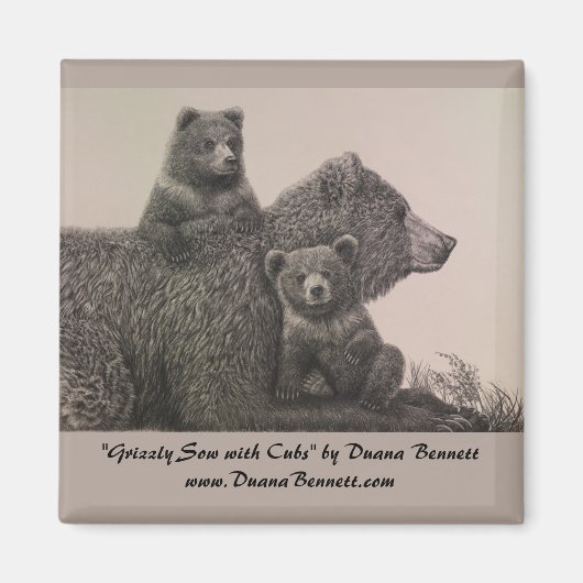 "Grizzly Sow with Cubs" dessin sur un aimant (Devant)