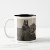 "Grizzly Sow with Cubs" dessin sur une tasse (Gauche)