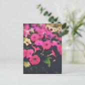 Grocery Store Flowers Briefkaart (Staand voorkant)