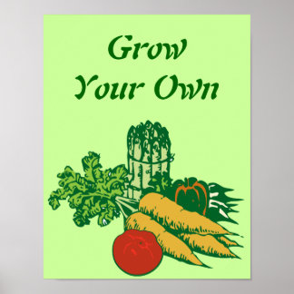 Groei je eigen groenten poster