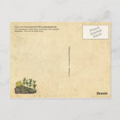 Groei je eigen tuin - poster ( herdruk) briefkaart (Achterkant)