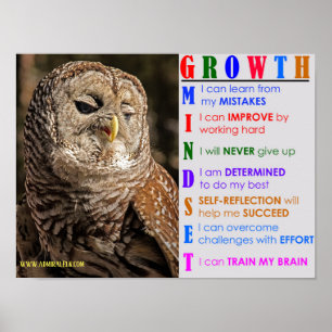 Groei Mindset Owl Poster