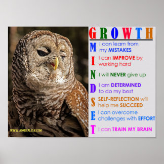 Groei Mindset Owl Poster