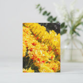 Groeien in goud briefkaart (Staand voorkant)