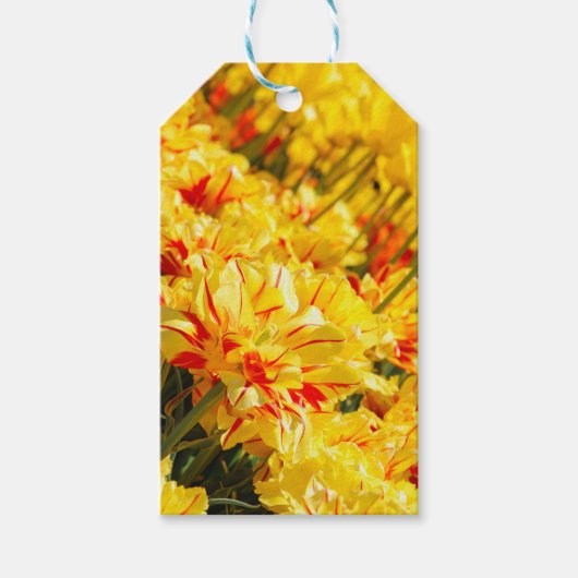 Groeien in goud cadeaulabel (Voorkant)