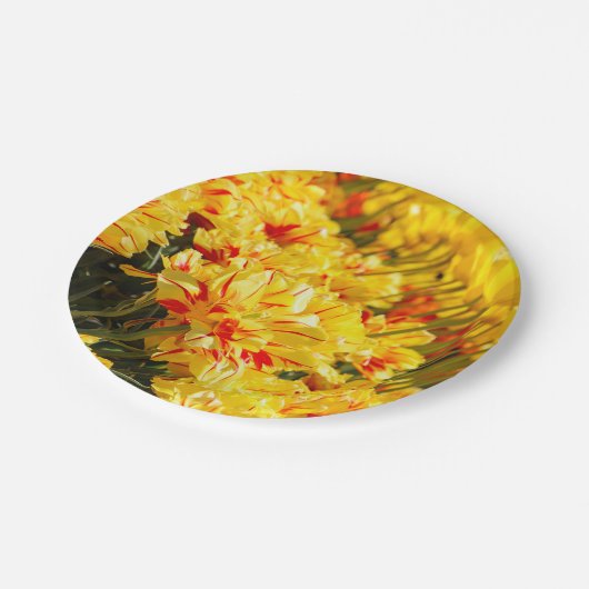 Groeien in goud papieren bordje (Gekanteld)