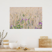 Groeiend graan Poster (Keuken)