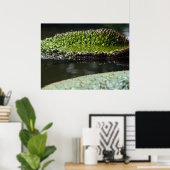 groeipad poster (Thuiskantoor)